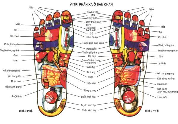chua-cac-benh-thong-thuong-bang-matxa-an-huyet-long-ban-chan-1