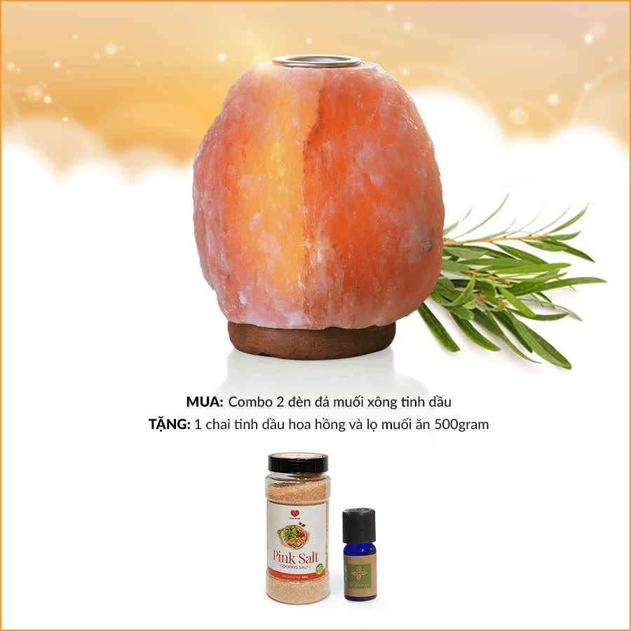 MUA 2 đèn đá muối xông tinh dầu TẶNG NGAY 1 chai tinh dầu hoa hồng và hộp muối ăn 500gr