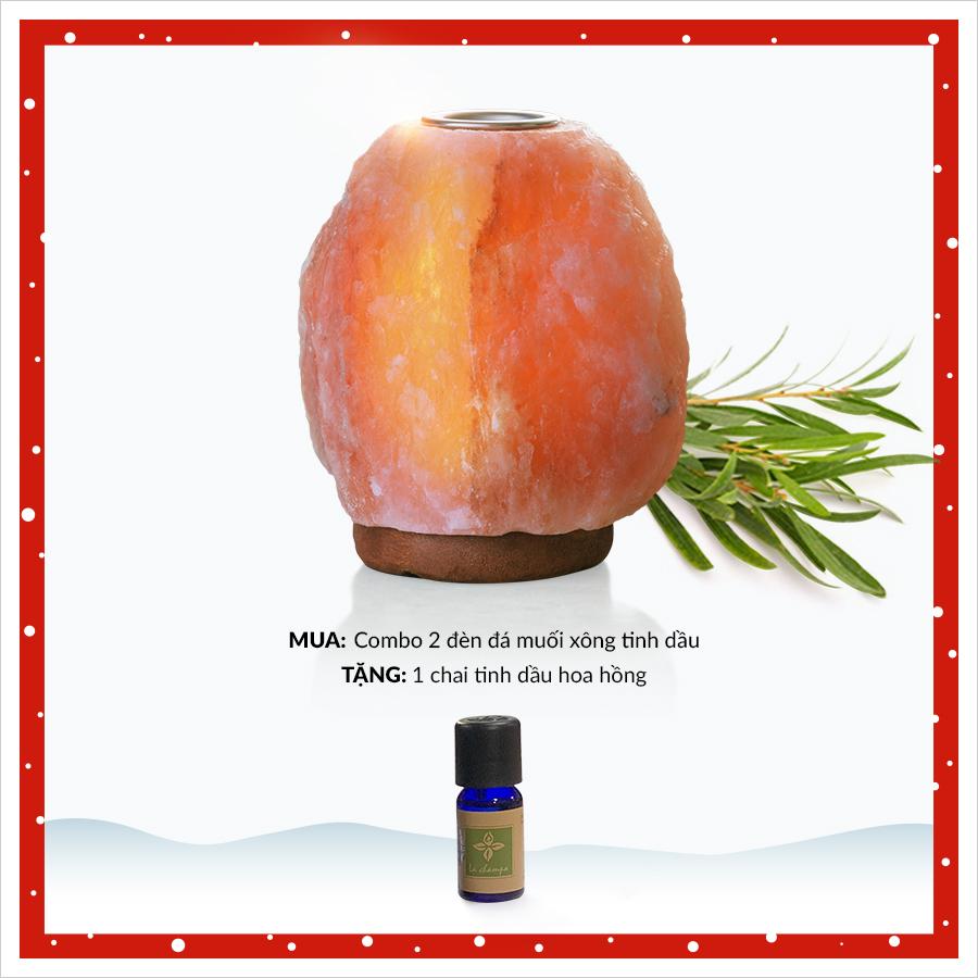 Mua 2 đèn đá muối xông tinh dầu tặng ngay chai tinh dầu hoa hồng 10ml Mua 2 đèn đá muối xông tinh dầu tặng ngay chai tinh dầu hoa hồng 10ml